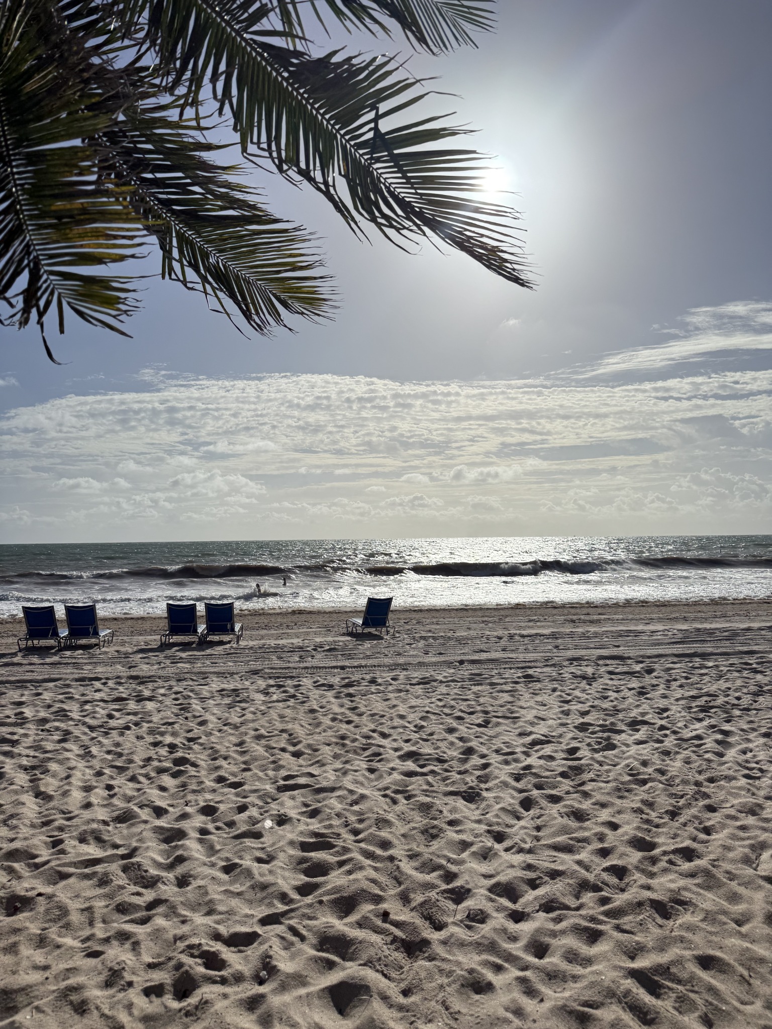 Palm-lined beach — original travel photograph